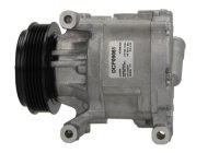 Denso Klimakompressor DCP09061 f&uuml;r Fiat