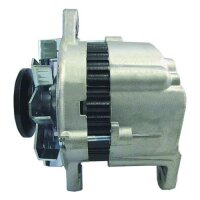 Lichtmaschine  für Agrar und Industrie 24V 20Amp